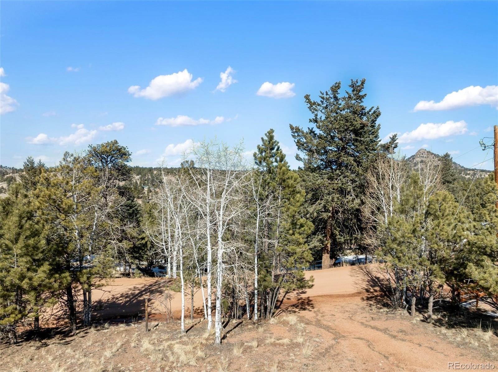 530 Columbine Road Florissant CO 80816