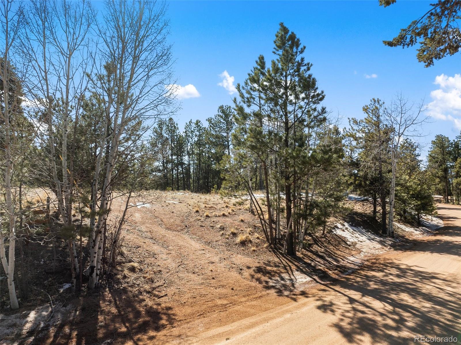 530 Columbine Road Florissant CO 80816