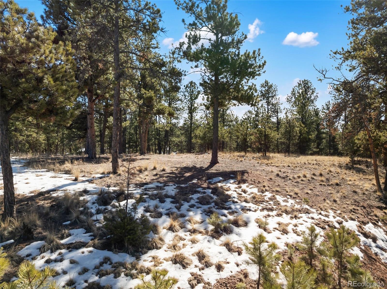 530 Columbine Road Florissant CO 80816