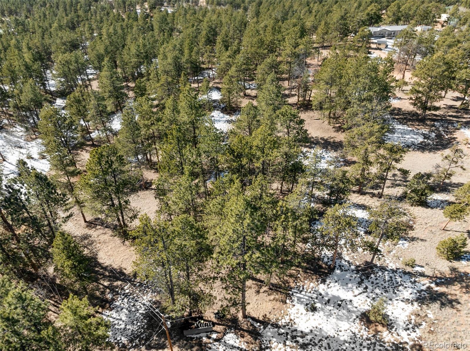 530 Columbine Road Florissant CO 80816