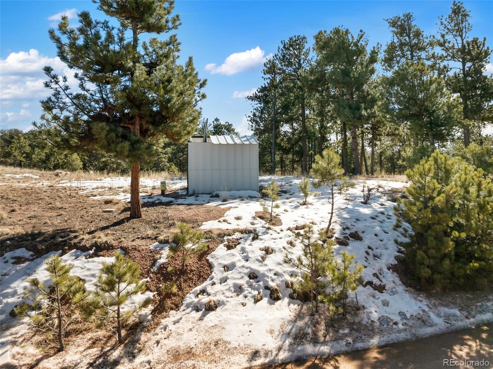 530 Columbine Road Florissant CO 80816