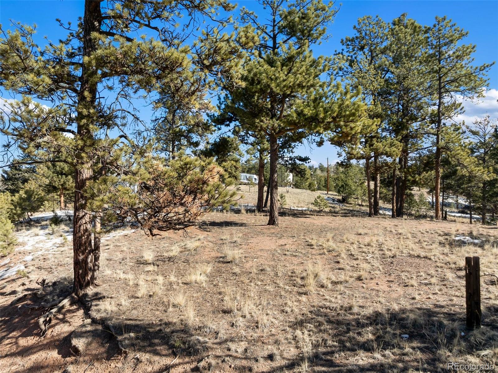 530 Columbine Road Florissant CO 80816