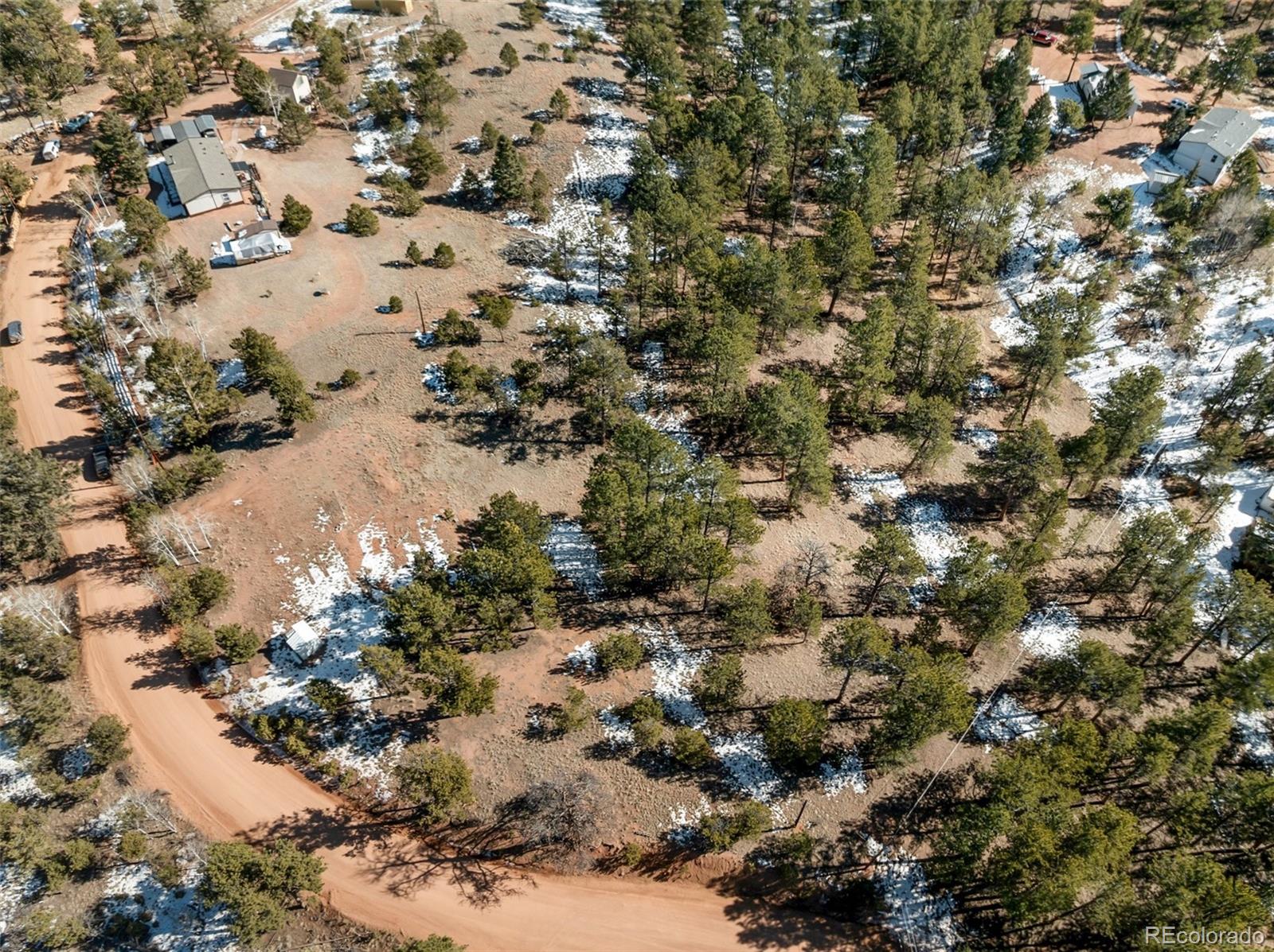 530 Columbine Road Florissant CO 80816