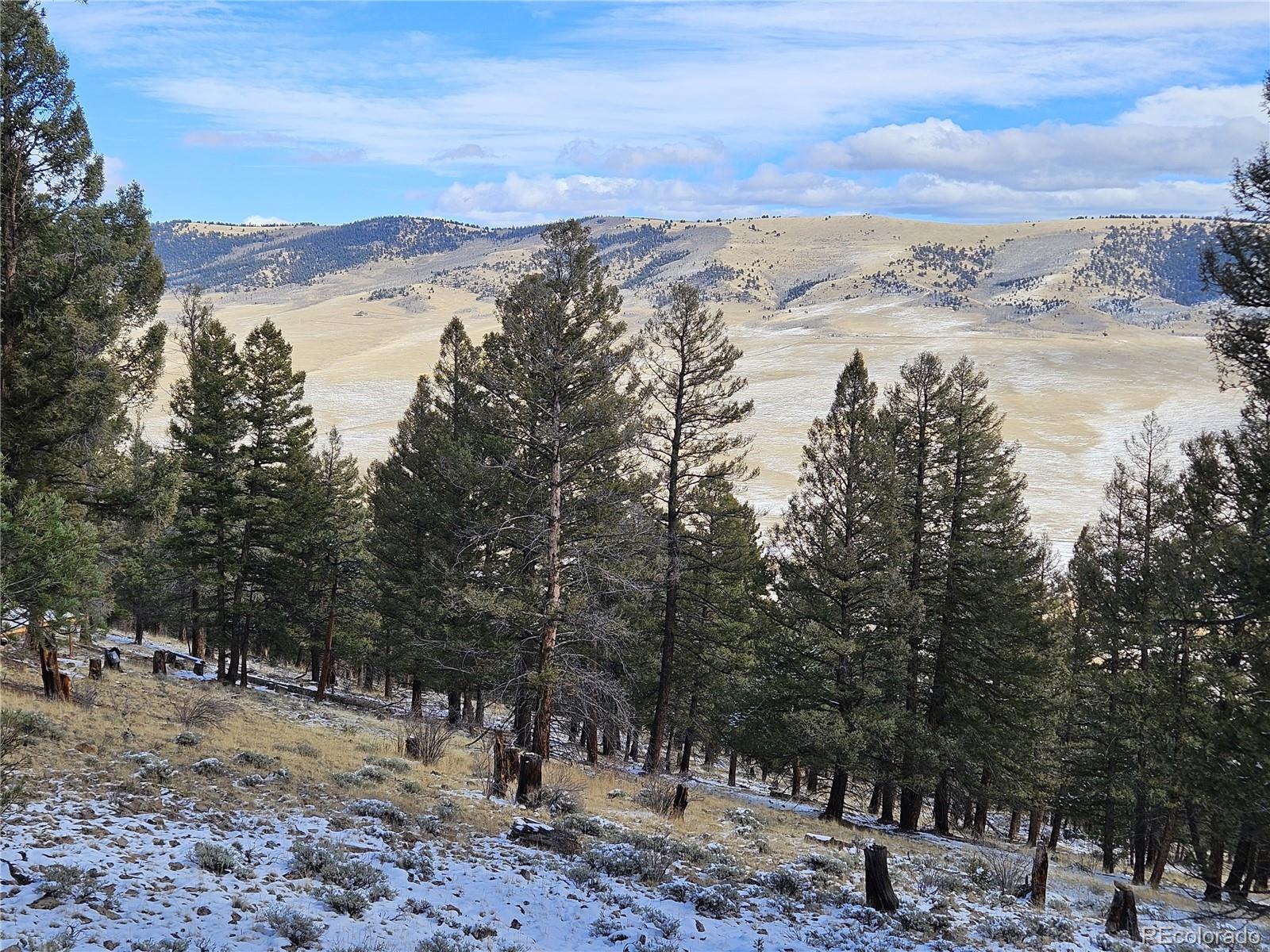 4260 Middle Fork Vista Fairplay CO 80440