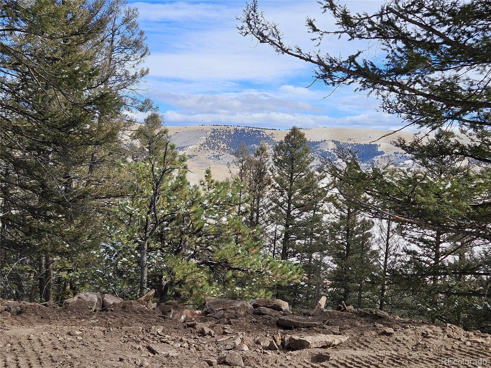 4260 Middle Fork Vista Fairplay CO 80440