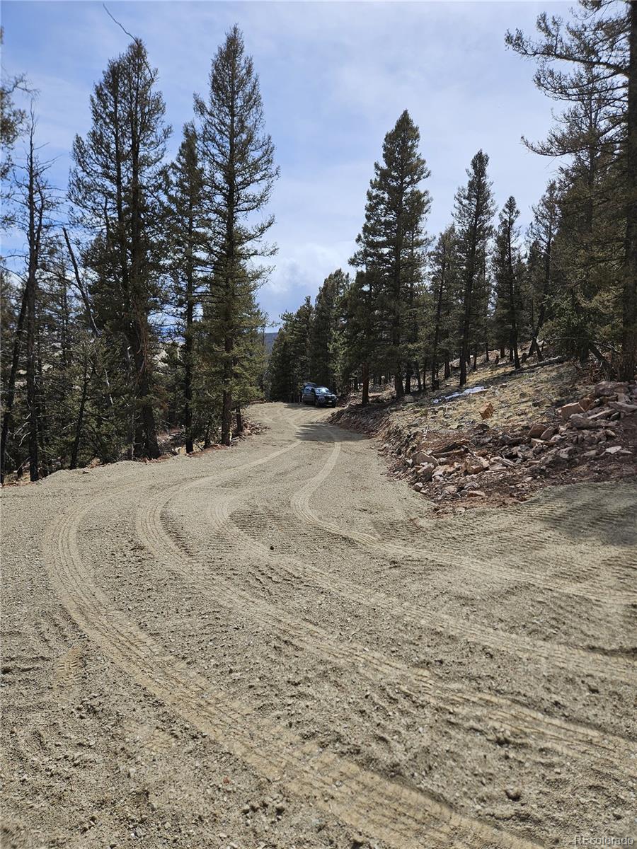 4260 Middle Fork Vista Fairplay CO 80440