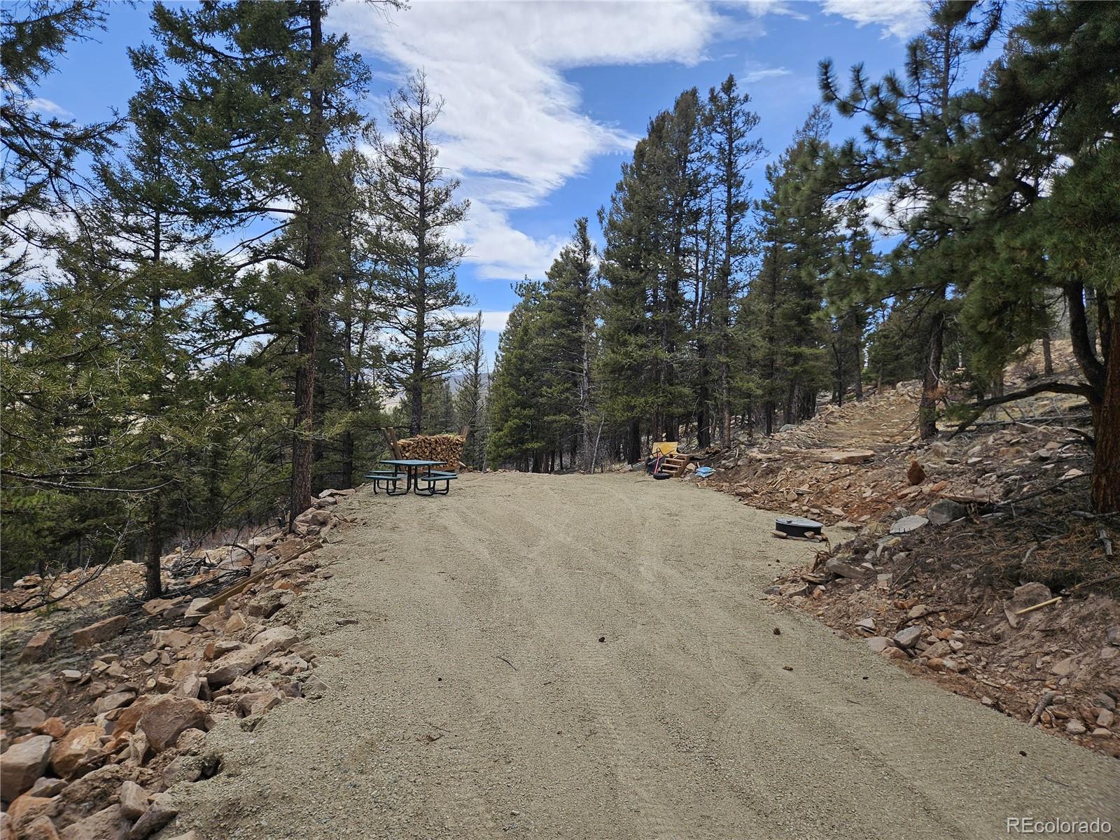 4260 Middle Fork Vista Fairplay CO 80440