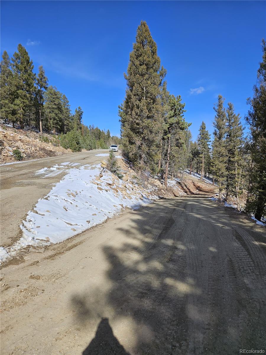 4260 Middle Fork Vista Fairplay CO 80440