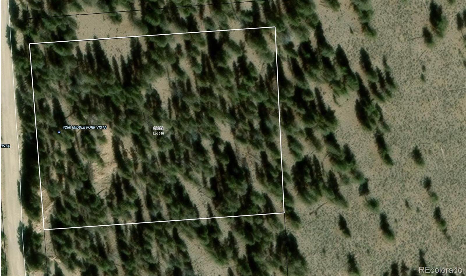 4260 Middle Fork Vista Fairplay CO 80440