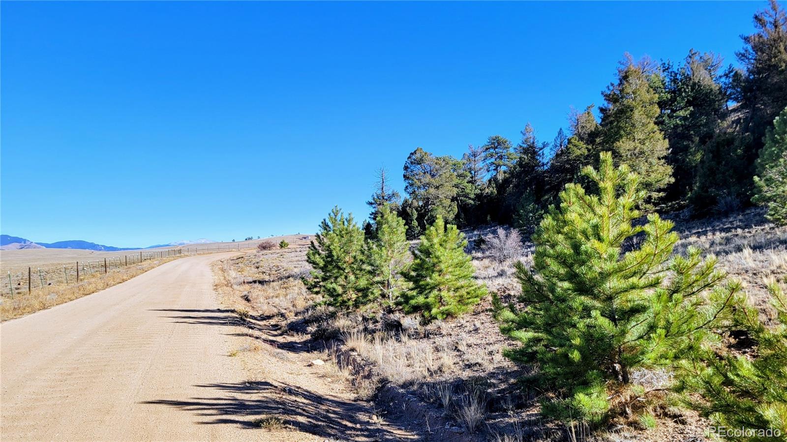 Tbd Tonkawa Road Hartsel CO 80449