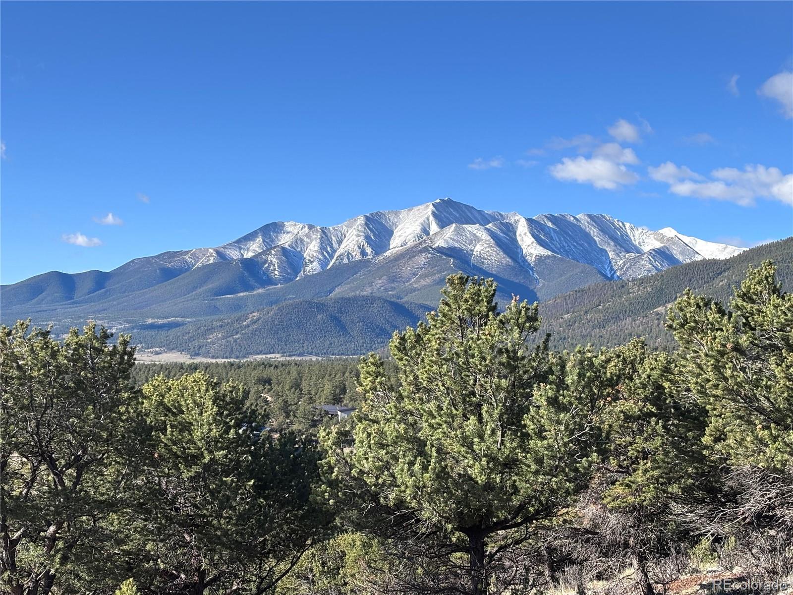 30499 Valley View Buena Vista CO 81211