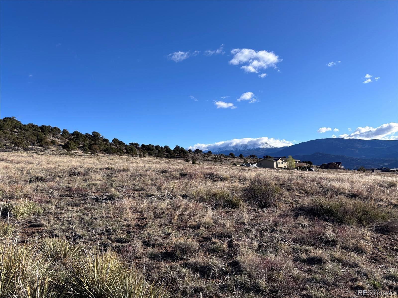 30499 Valley View Buena Vista CO 81211