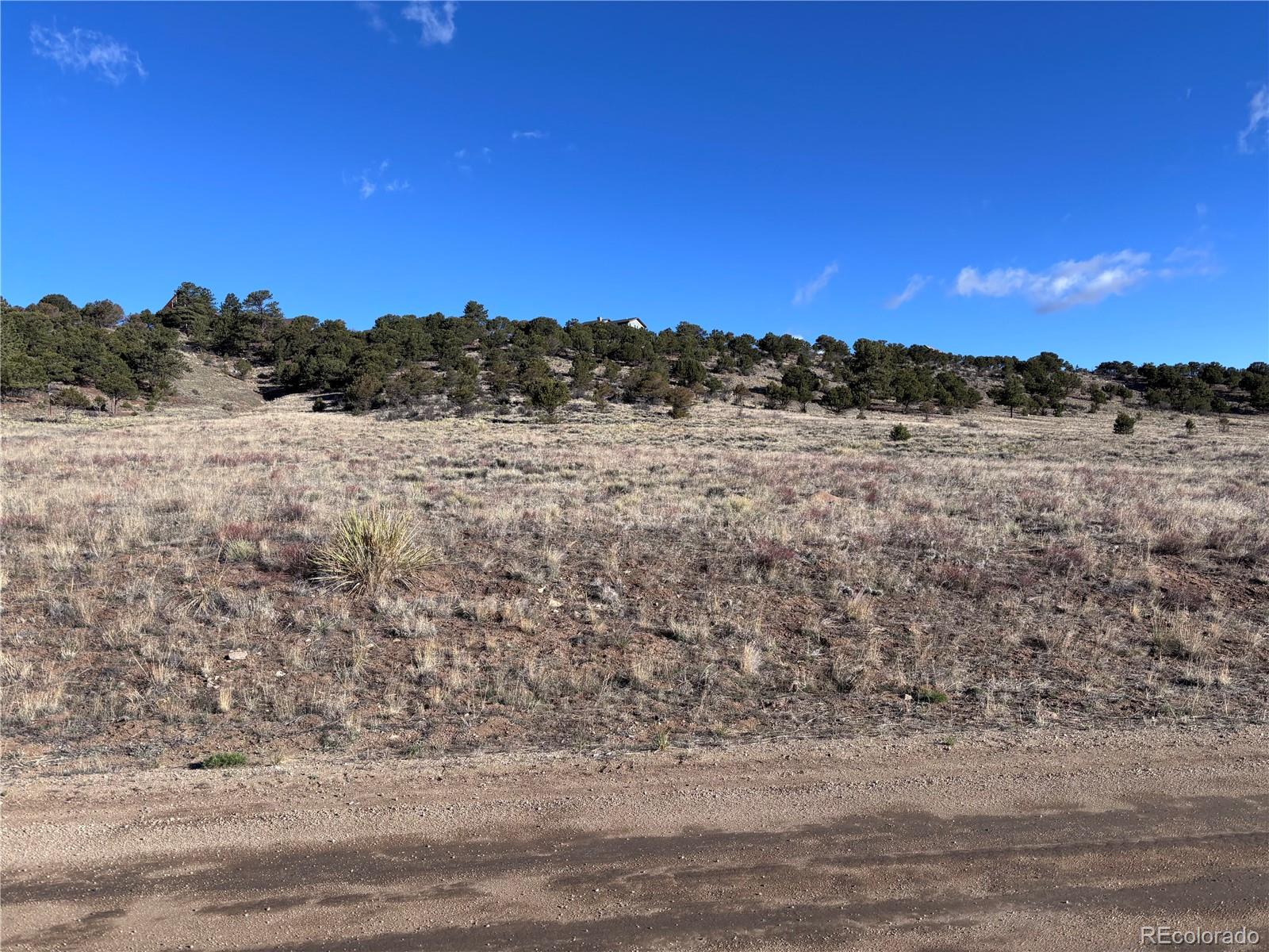 30499 Valley View Buena Vista CO 81211