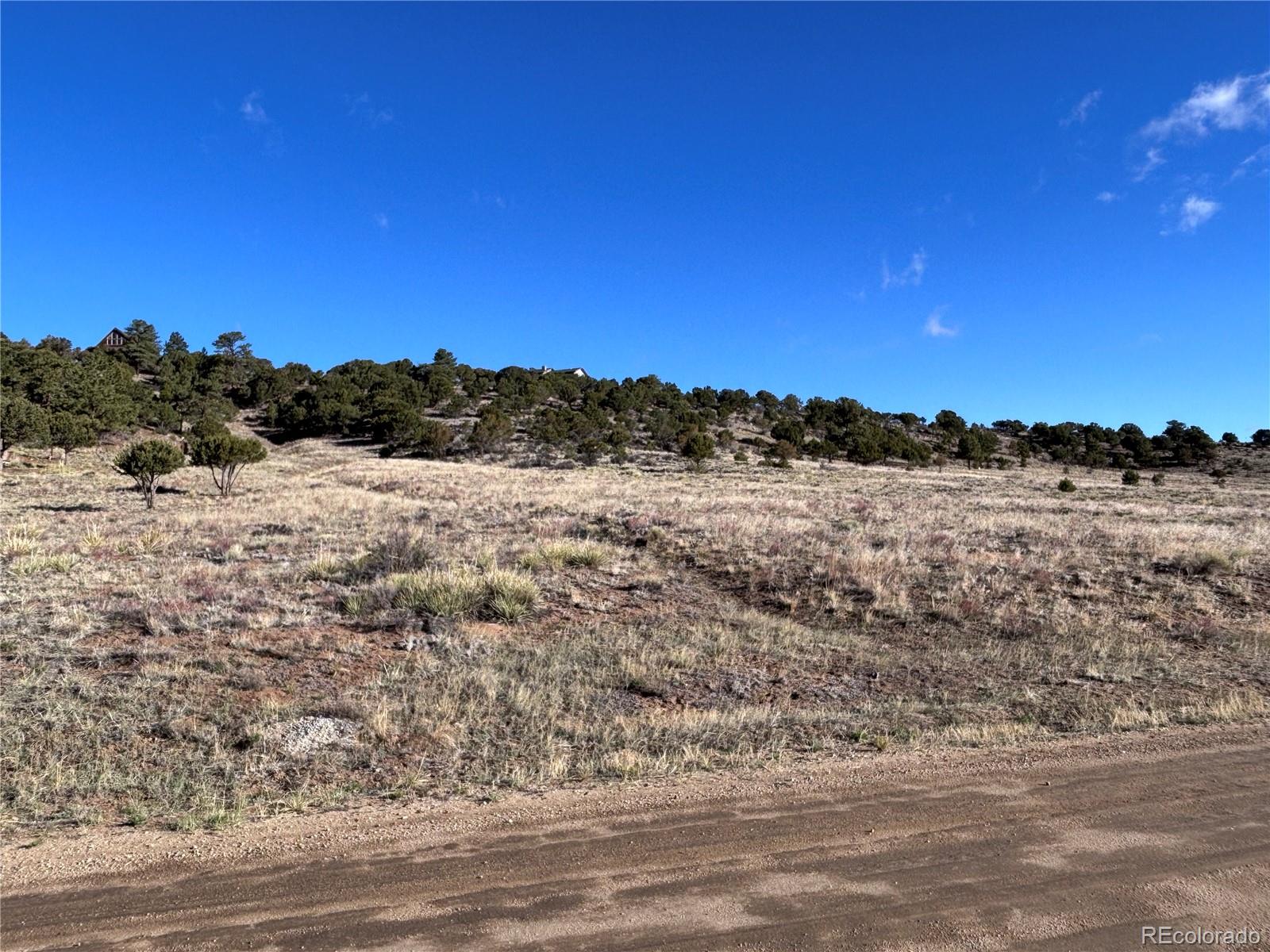 30499 Valley View Buena Vista CO 81211