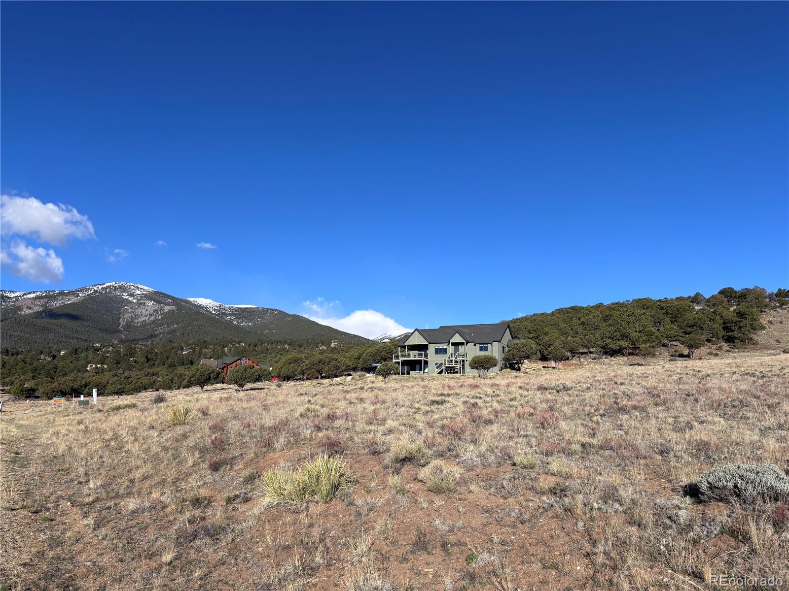 30499 Valley View Buena Vista CO 81211