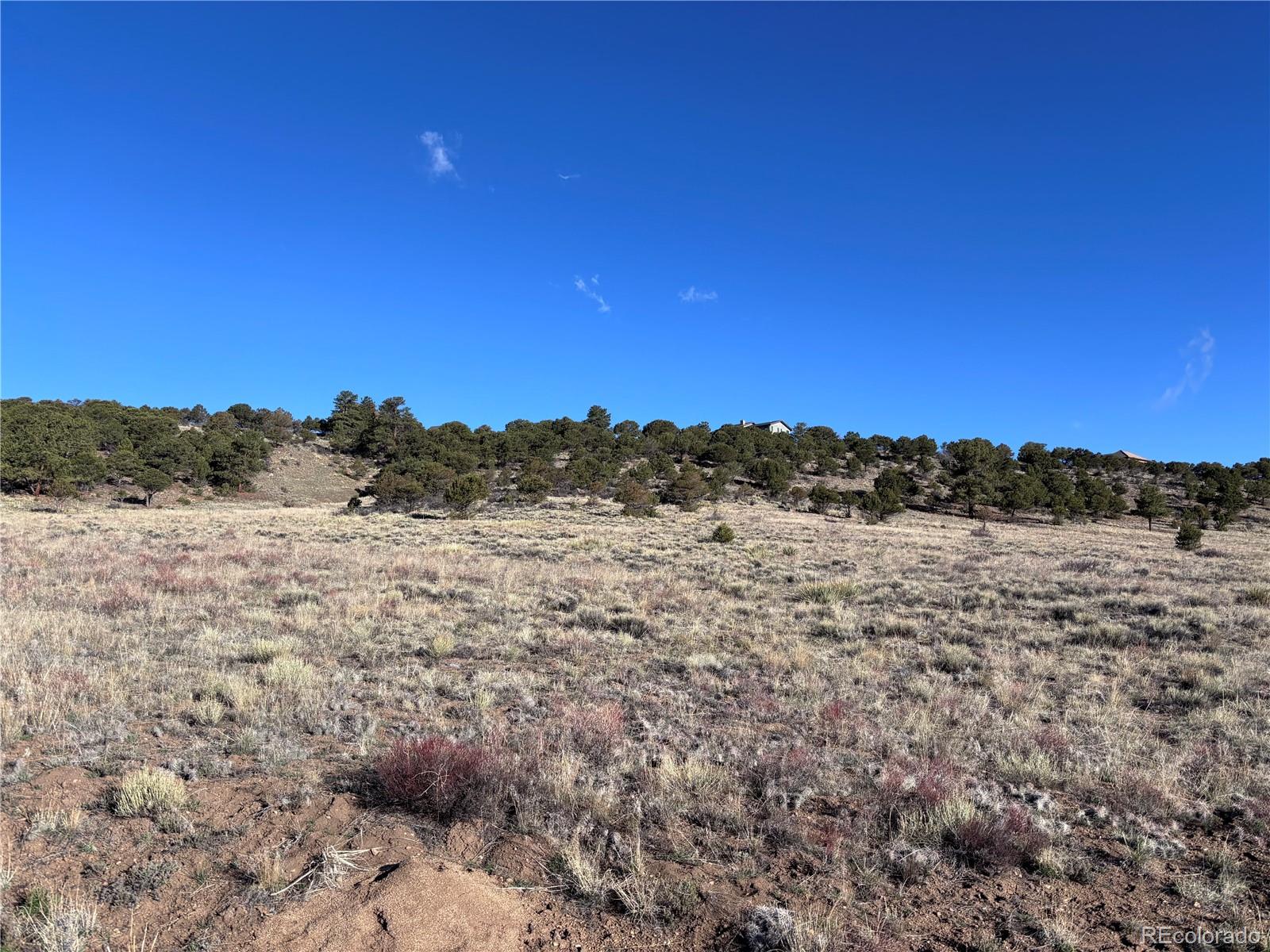30499 Valley View Buena Vista CO 81211