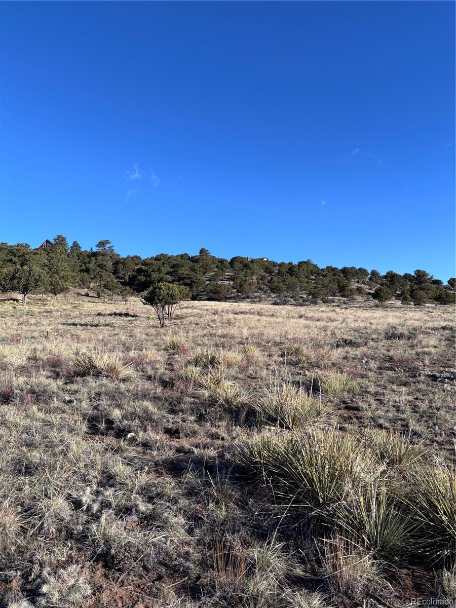30499 Valley View Buena Vista CO 81211