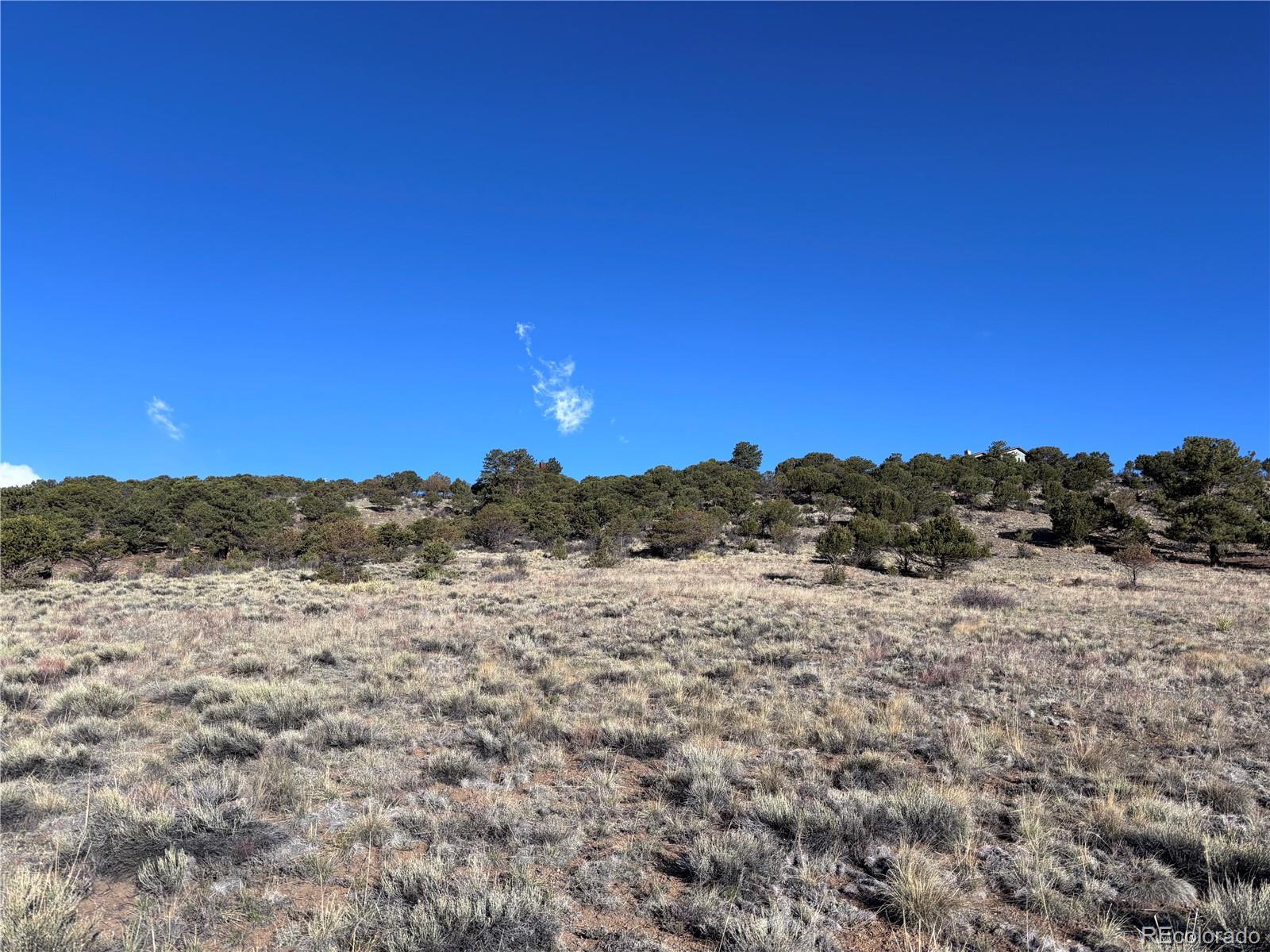 30499 Valley View Buena Vista CO 81211