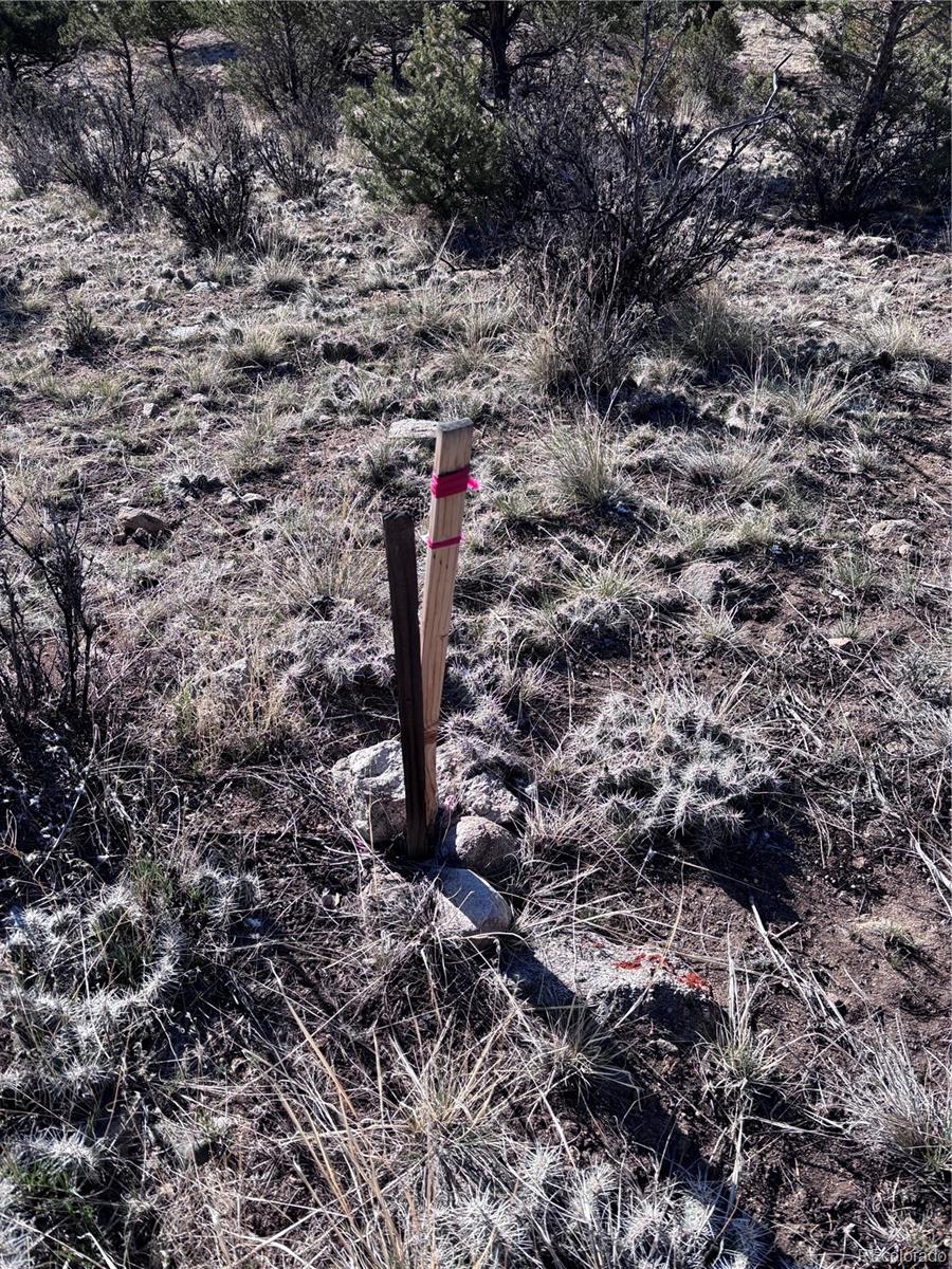 30499 Valley View Buena Vista CO 81211