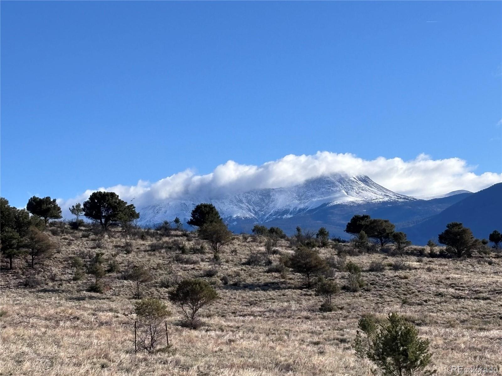 30499 Valley View Buena Vista CO 81211