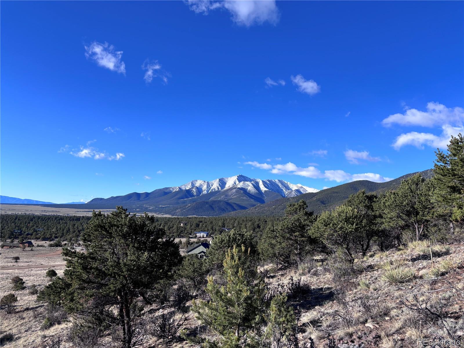 30499 Valley View Buena Vista CO 81211