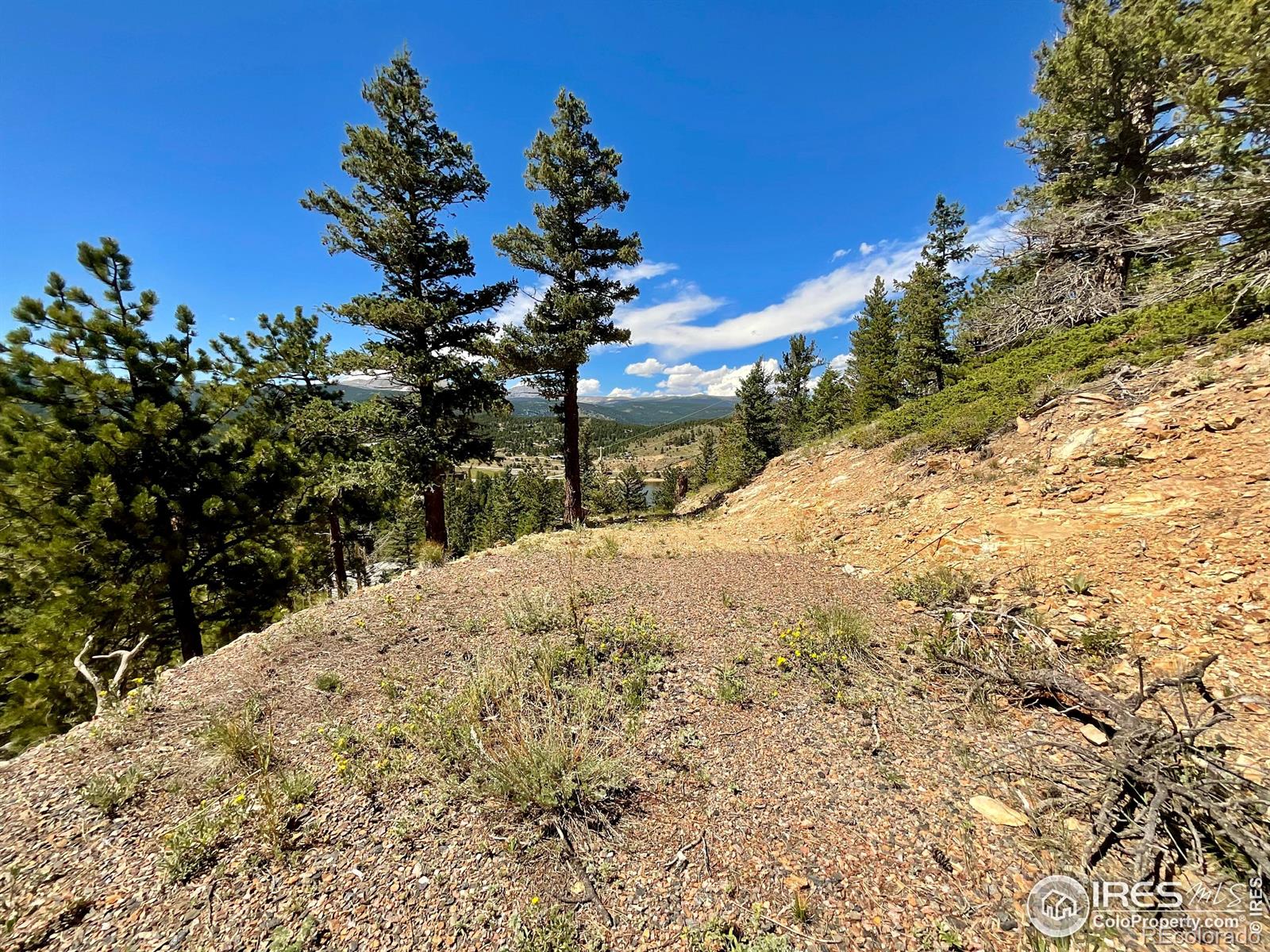 46 Pinecliff Trail Nederland CO 80466