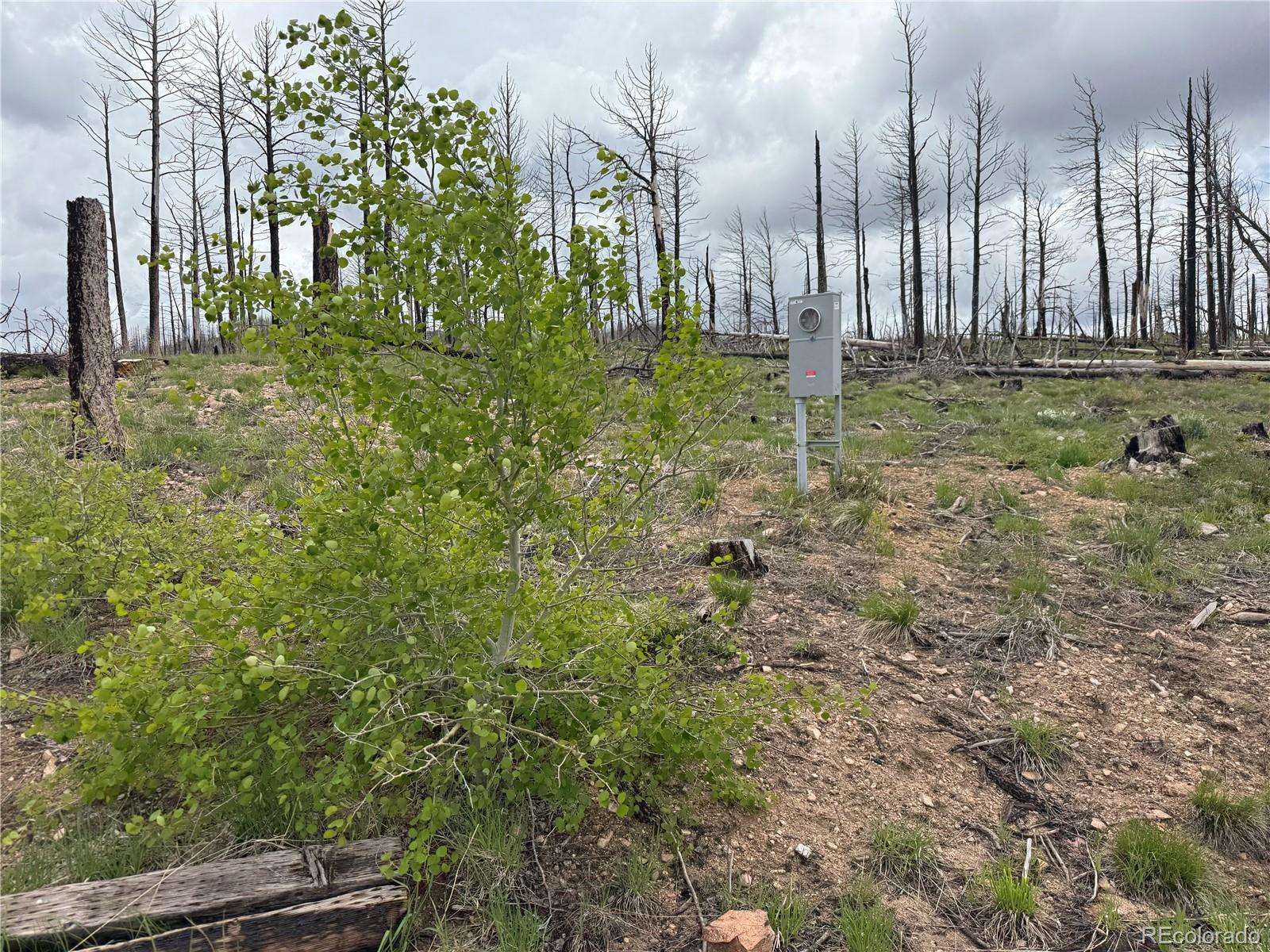 Lot 383 Soubry Place Fort Garland CO 81133