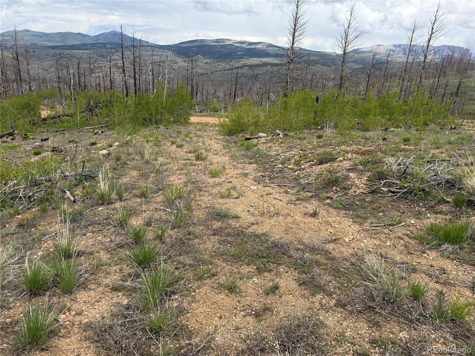 Lot 383 Soubry Place Fort Garland CO 81133