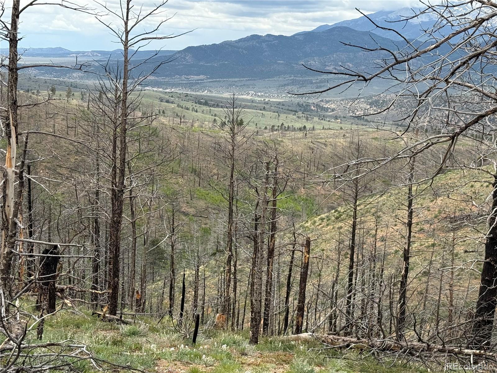 Lot 383 Soubry Place Fort Garland CO 81133