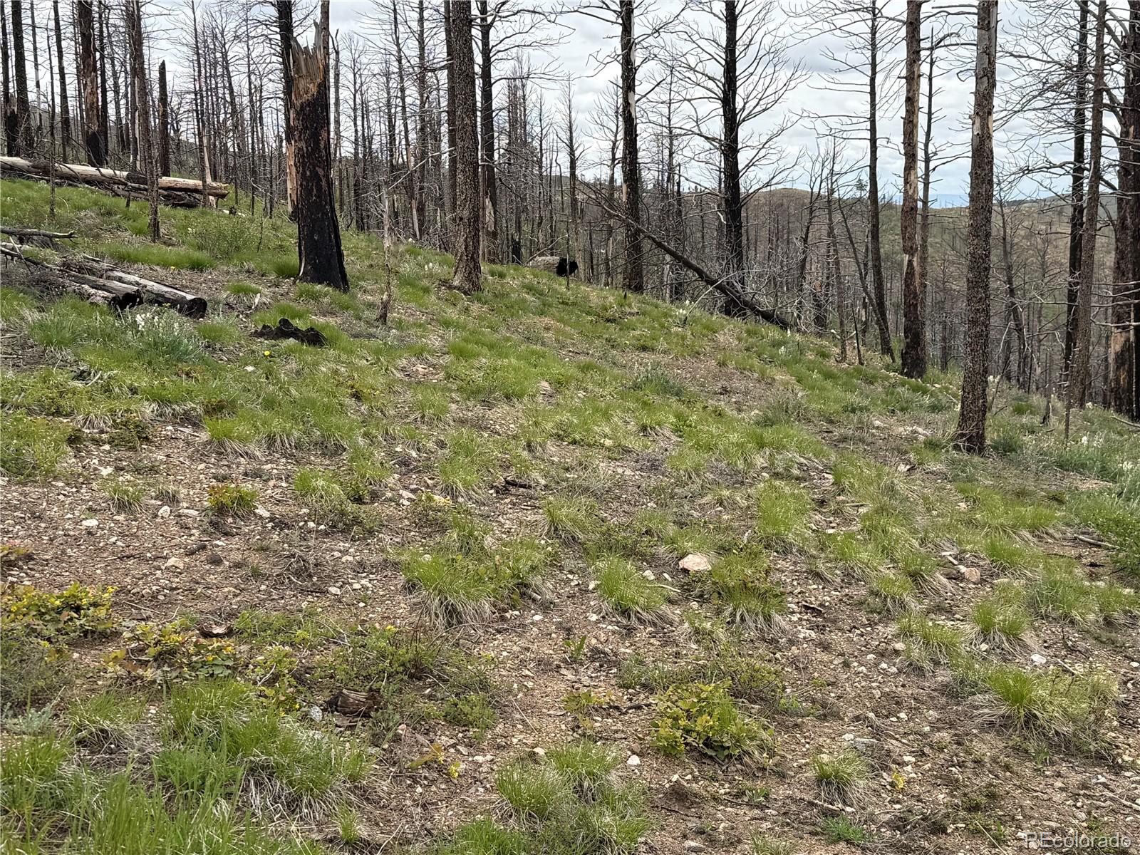 Lot 383 Soubry Place Fort Garland CO 81133