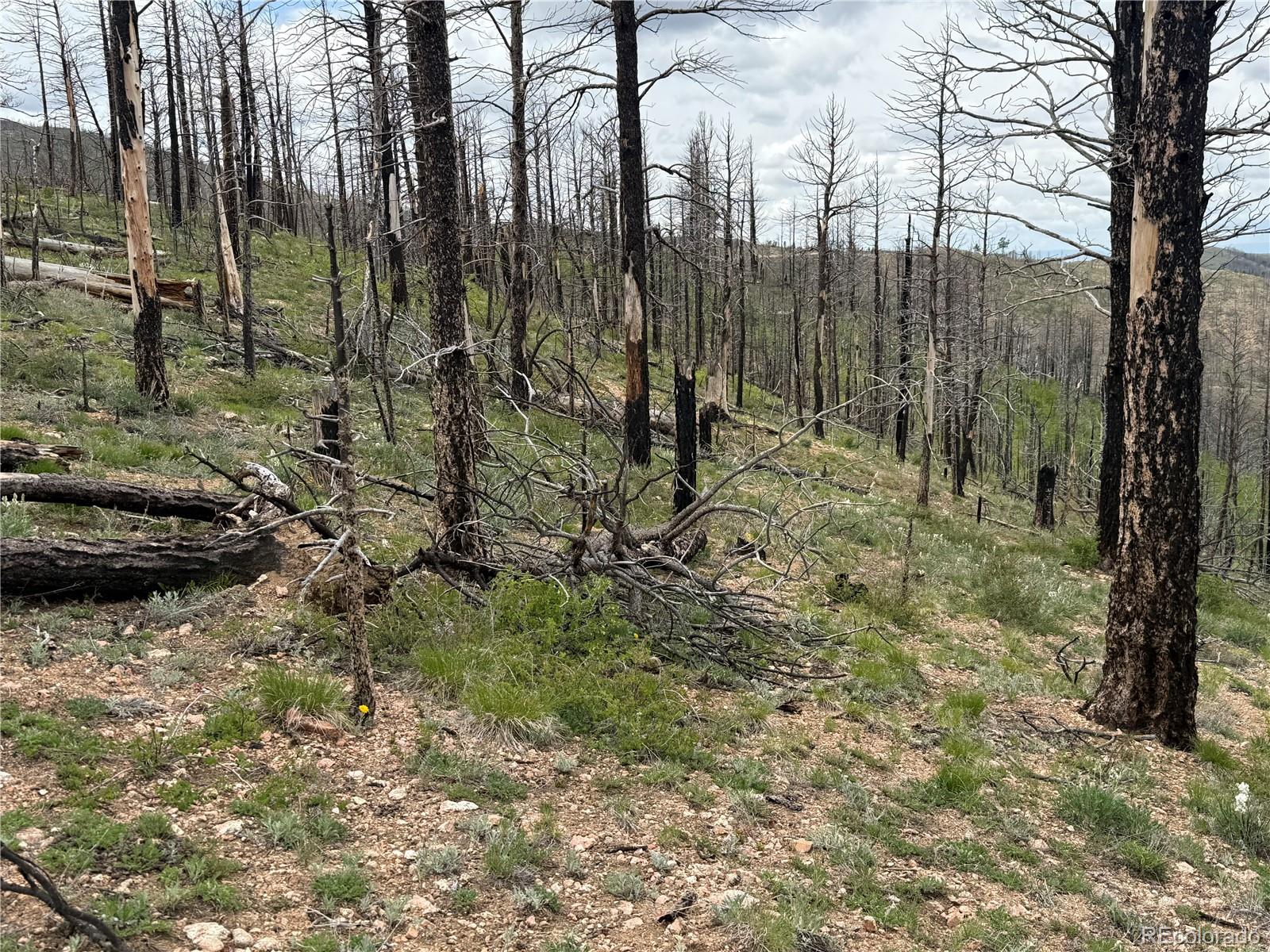 Lot 383 Soubry Place Fort Garland CO 81133