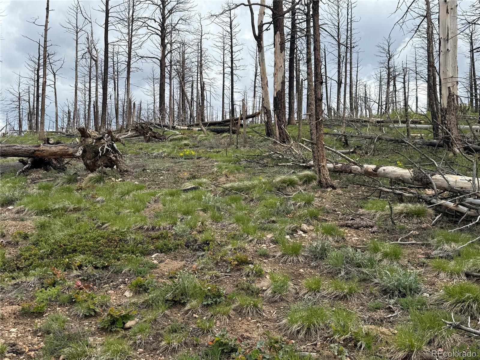 Lot 383 Soubry Place Fort Garland CO 81133