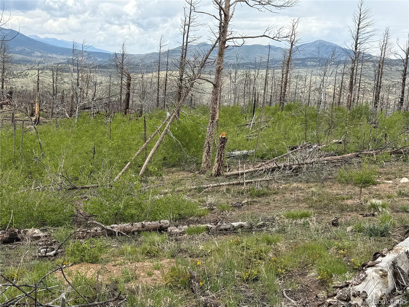 Lot 383 Soubry Place Fort Garland CO 81133