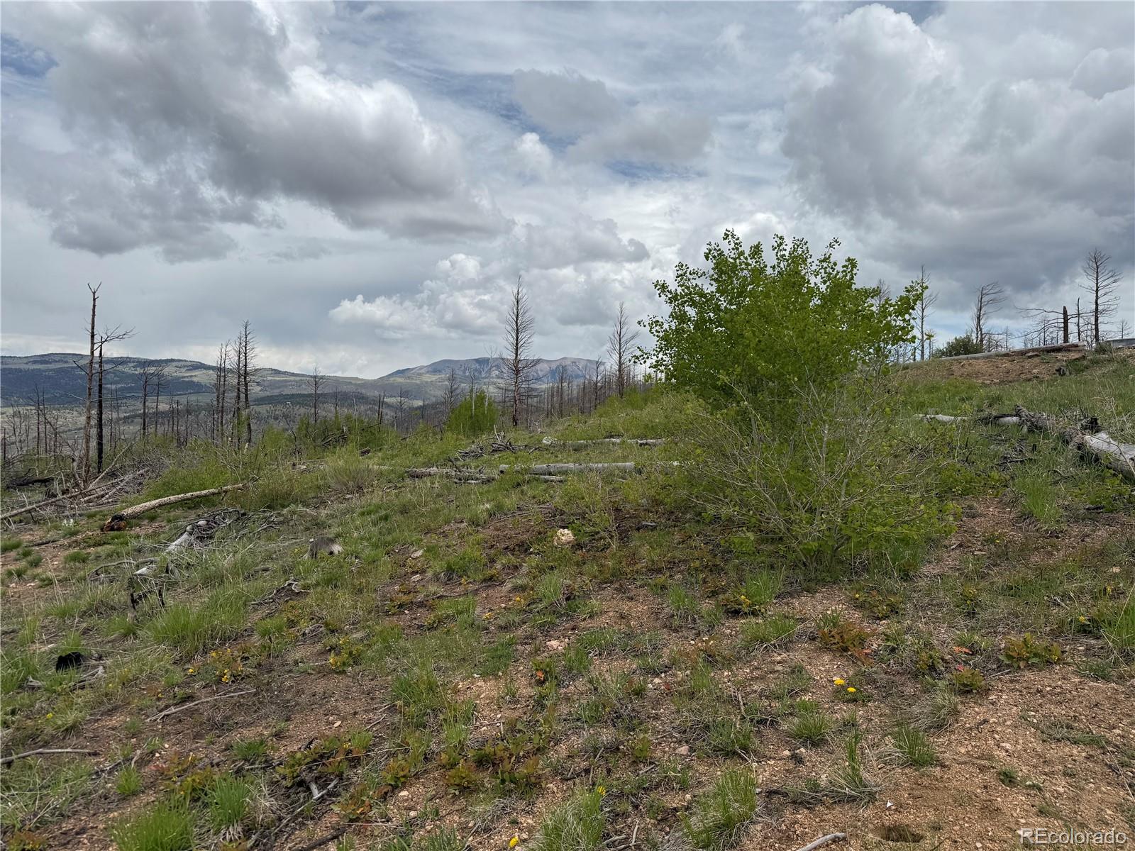 Lot 383 Soubry Place Fort Garland CO 81133