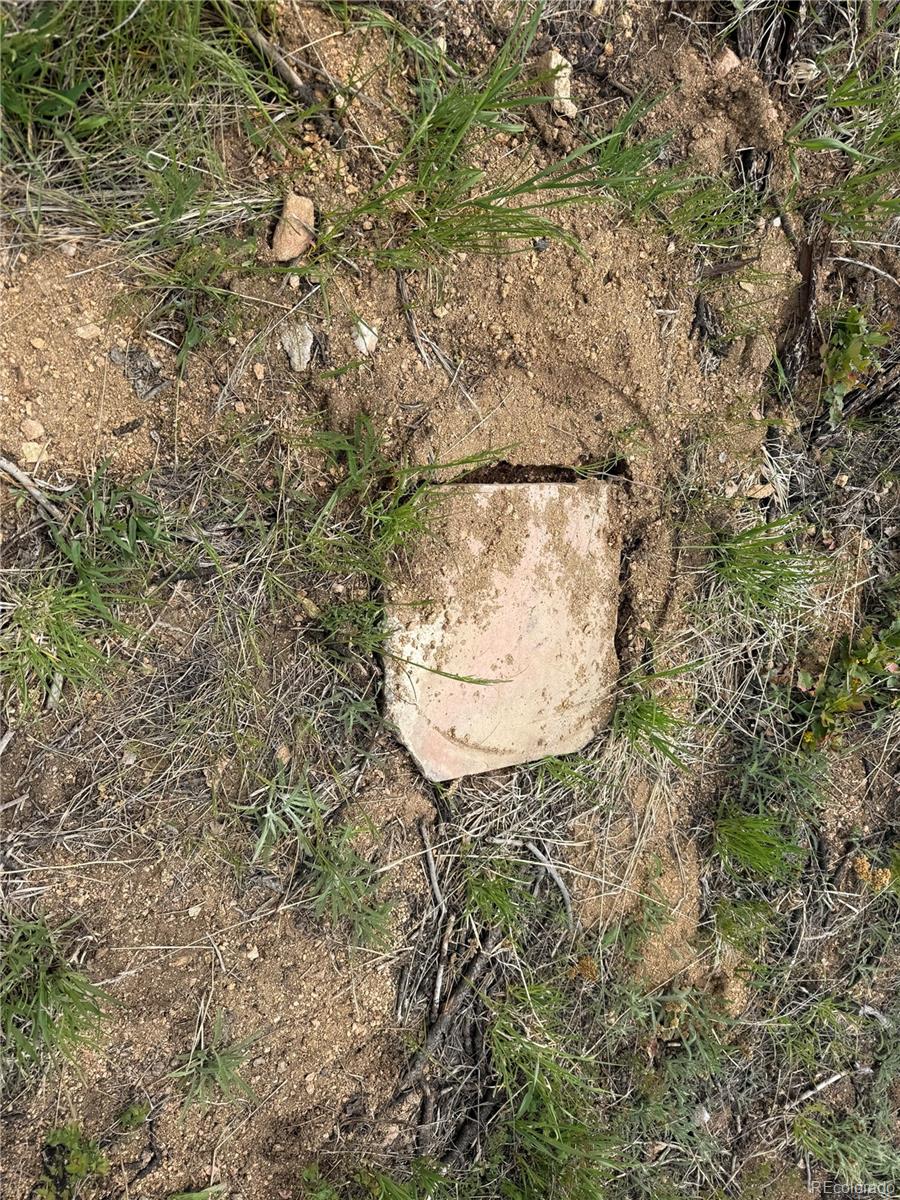 Lot 383 Soubry Place Fort Garland CO 81133