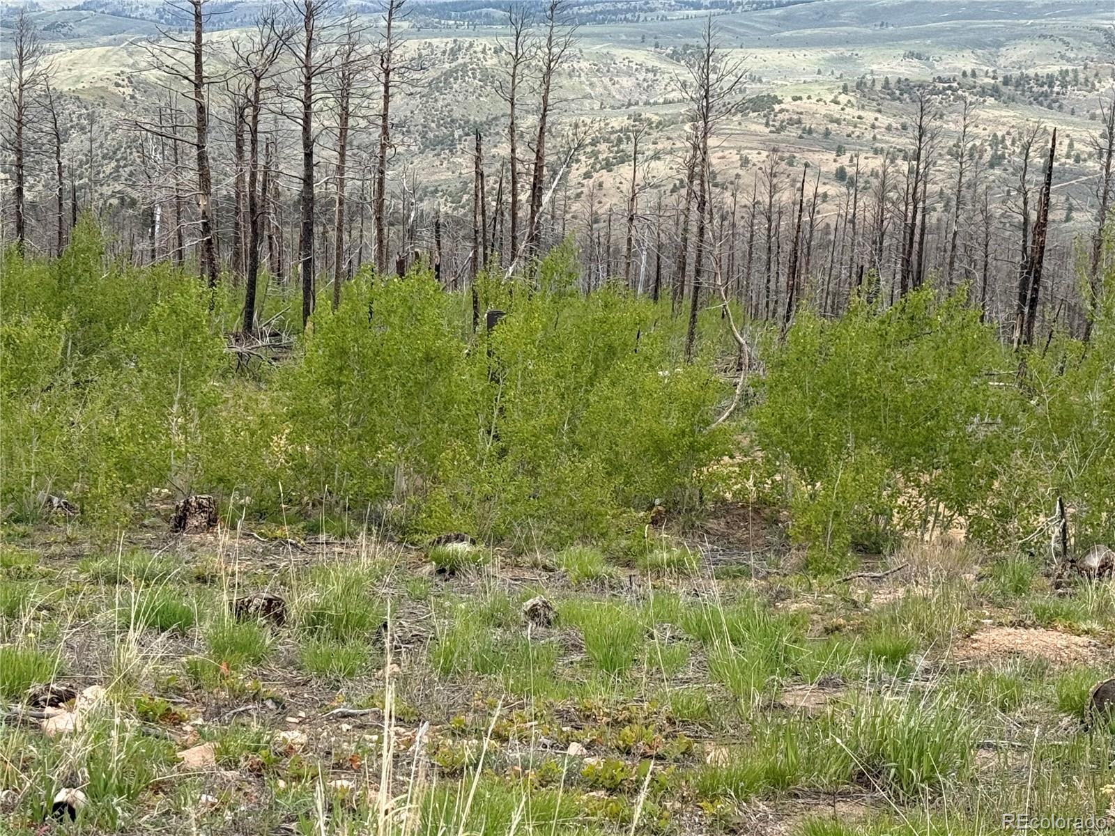 Lot 383 Soubry Place Fort Garland CO 81133