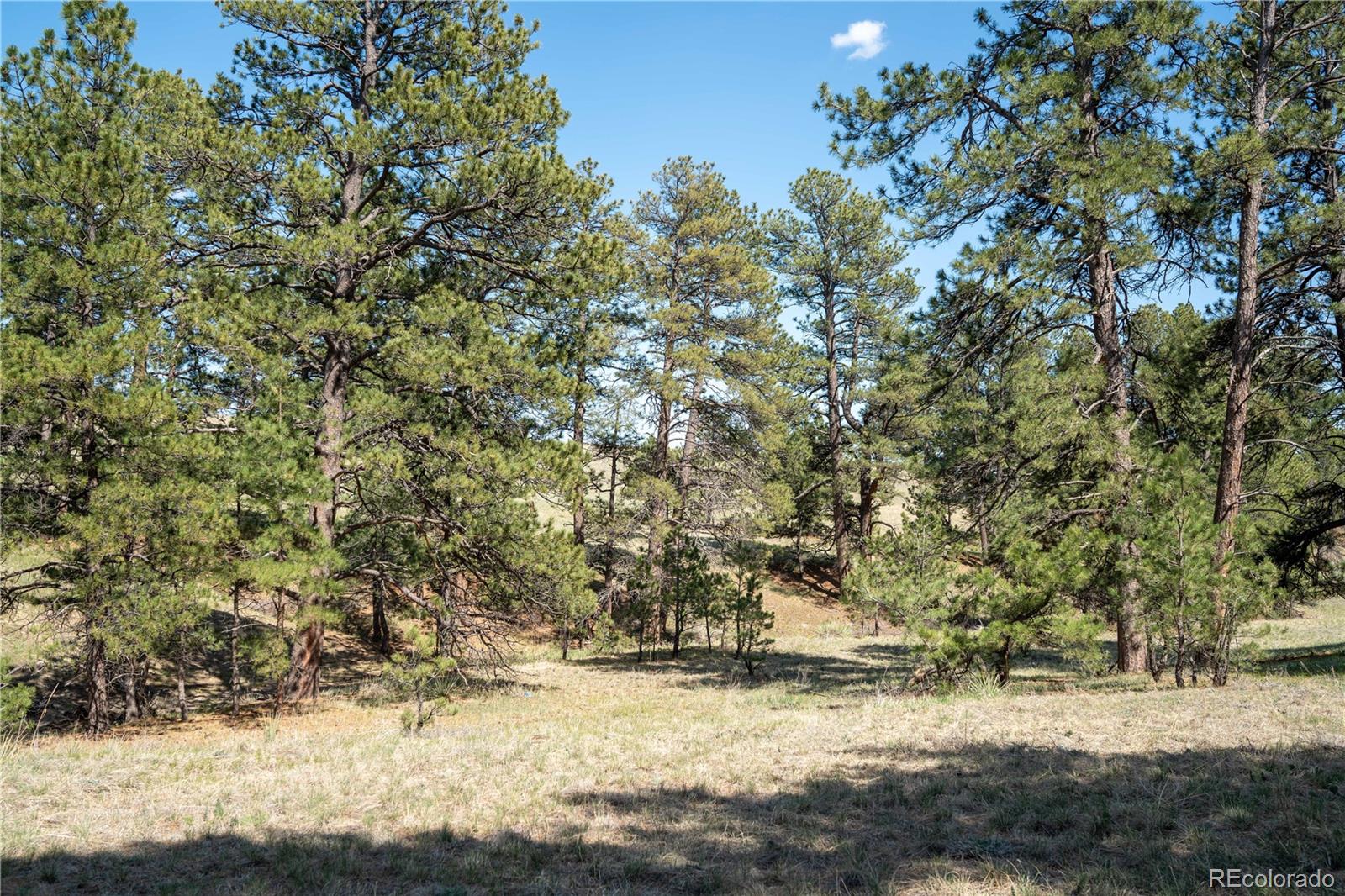 TBD-3 Paradise Circle Elizabeth CO 80107