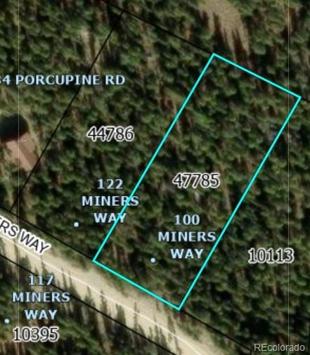 100 Miner"s Way Fairplay CO 80440
