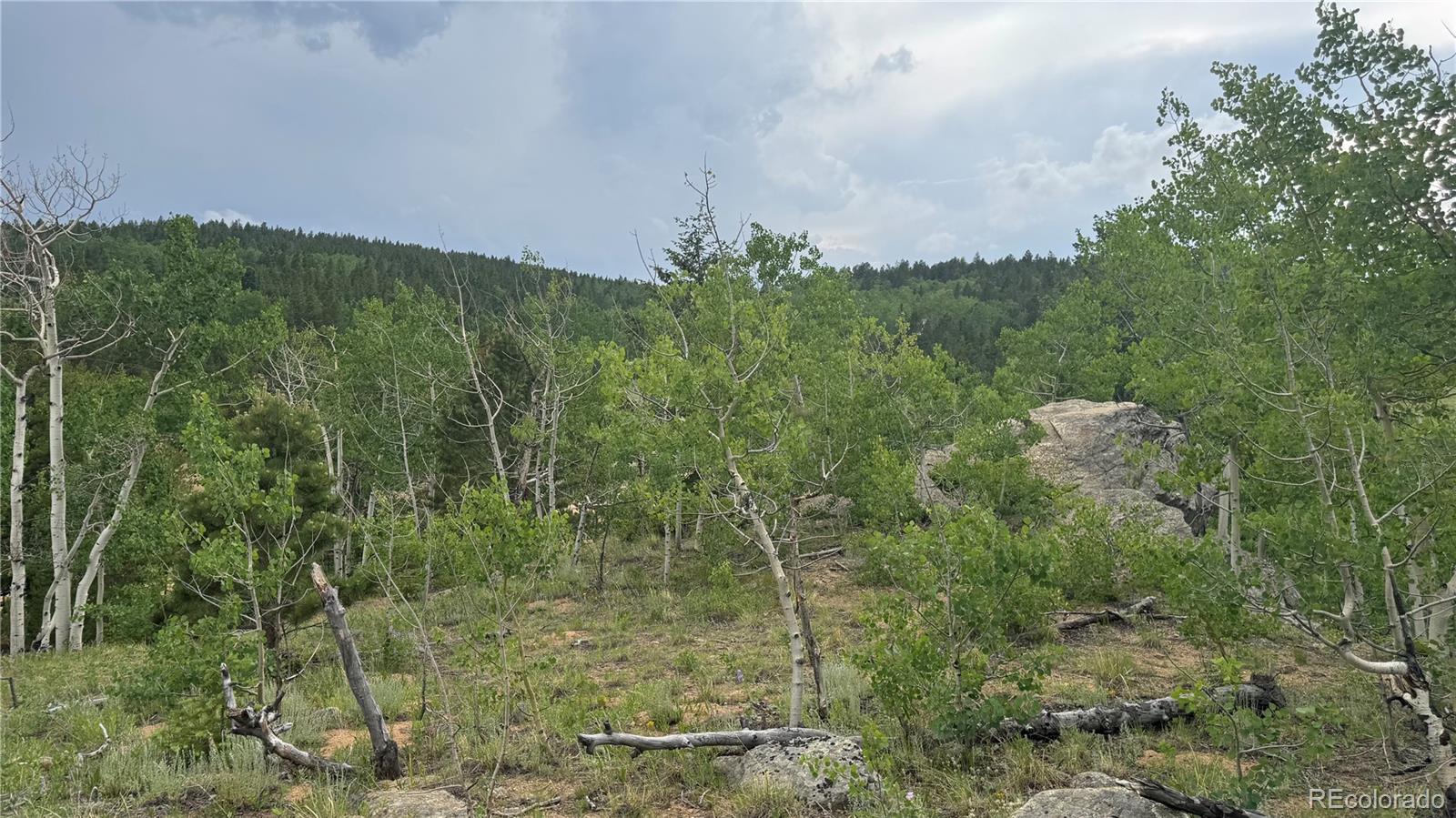 007 Virginia Canyon Road Central City CO 80427
