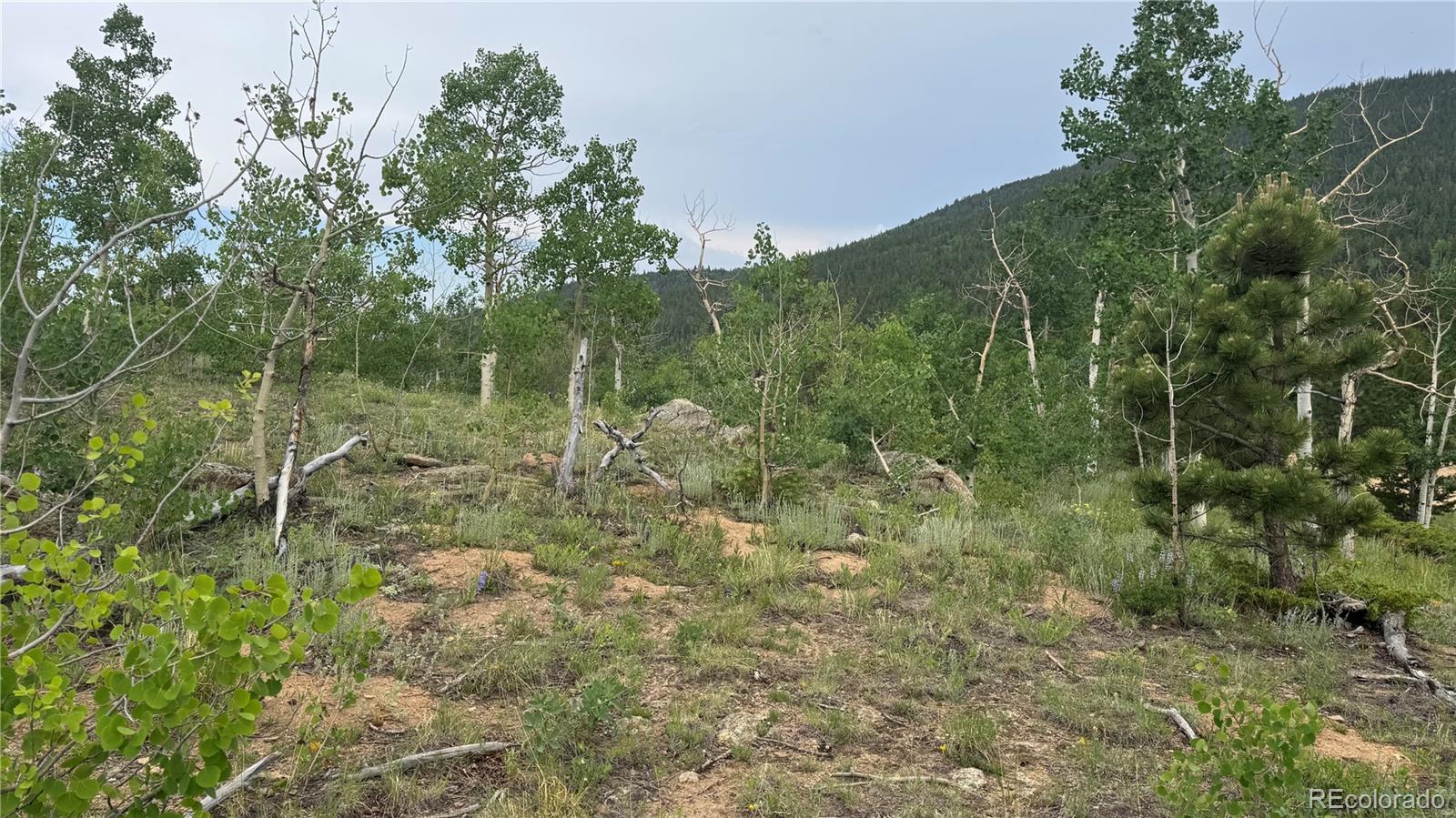 007 Virginia Canyon Road Central City CO 80427