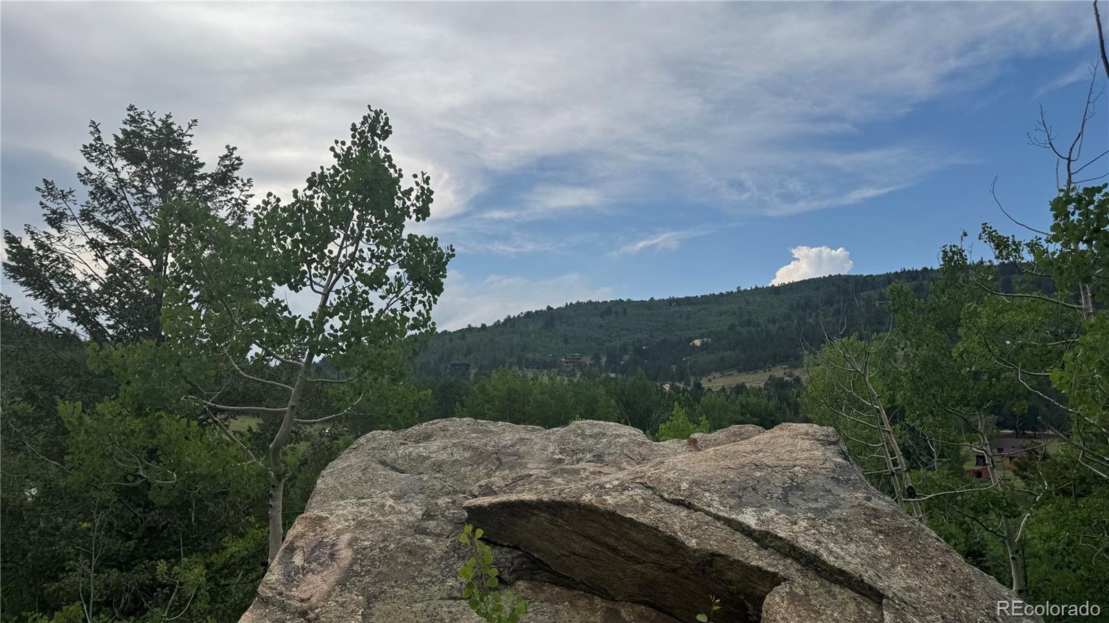 007 Virginia Canyon Road Central City CO 80427