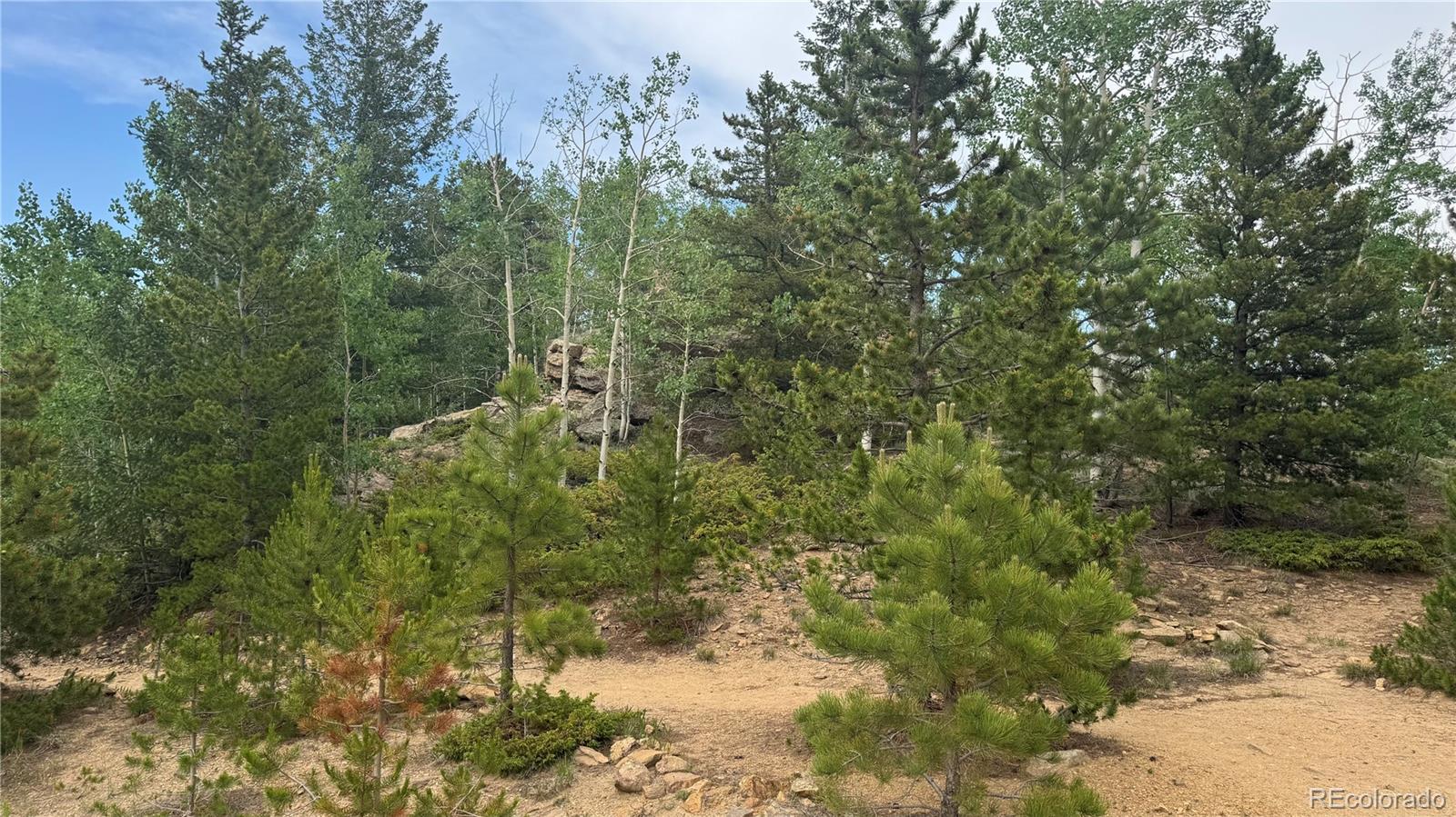 007 Virginia Canyon Road Central City CO 80427