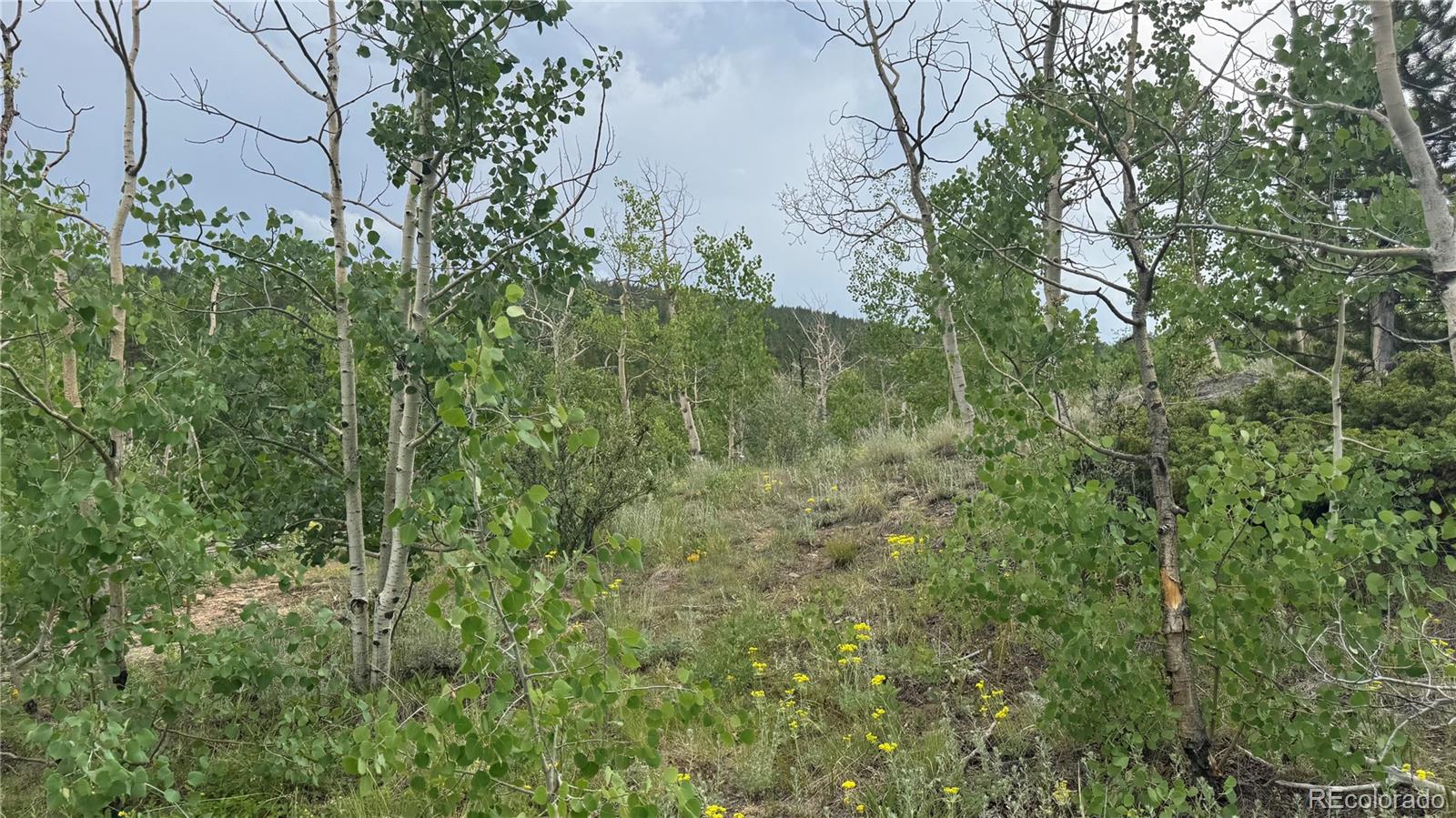 007 Virginia Canyon Road Central City CO 80427