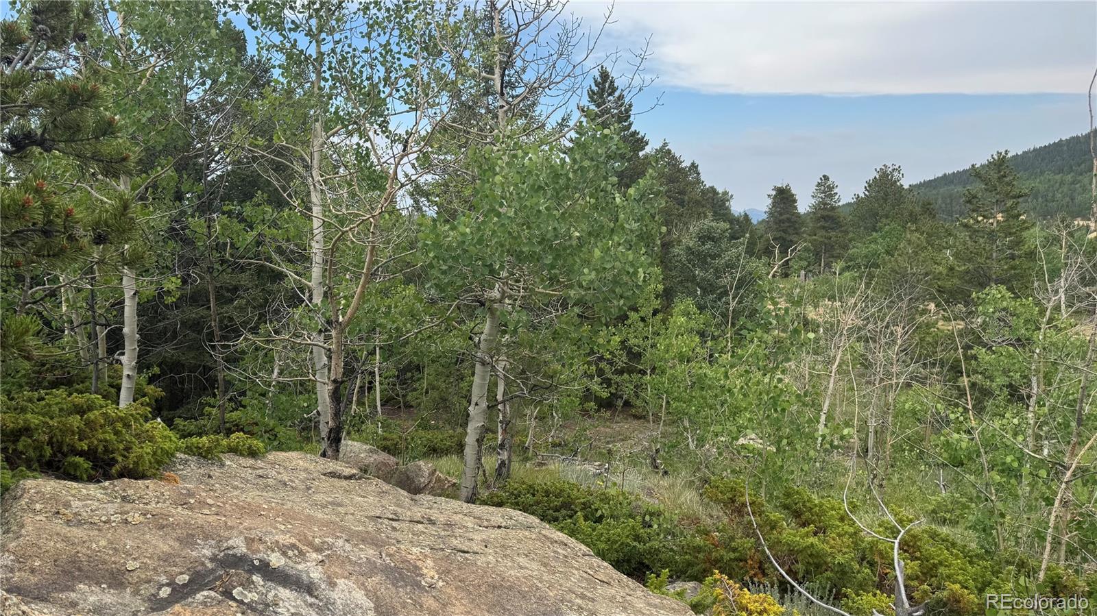 007 Virginia Canyon Road Central City CO 80427