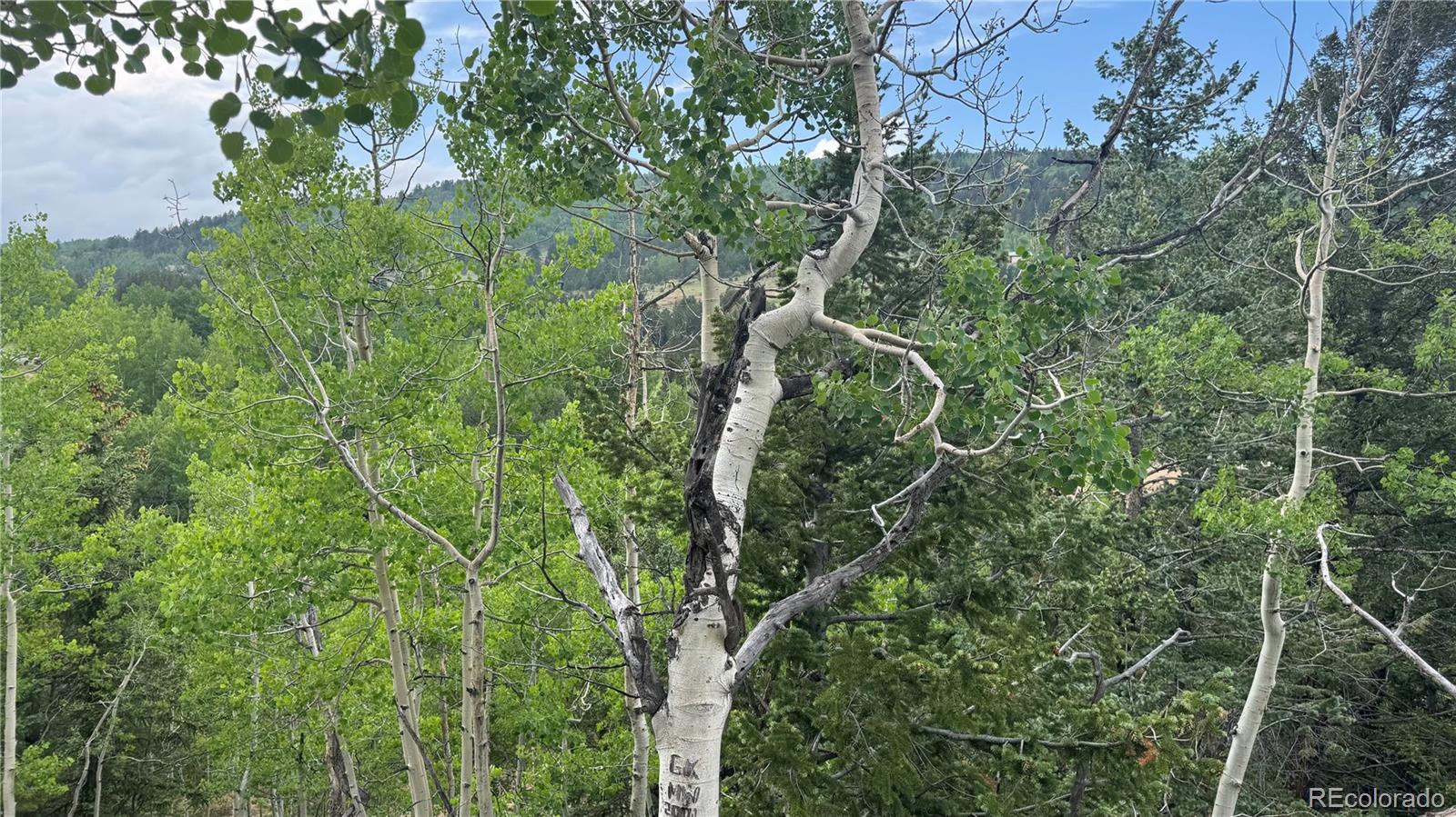 007 Virginia Canyon Road Central City CO 80427