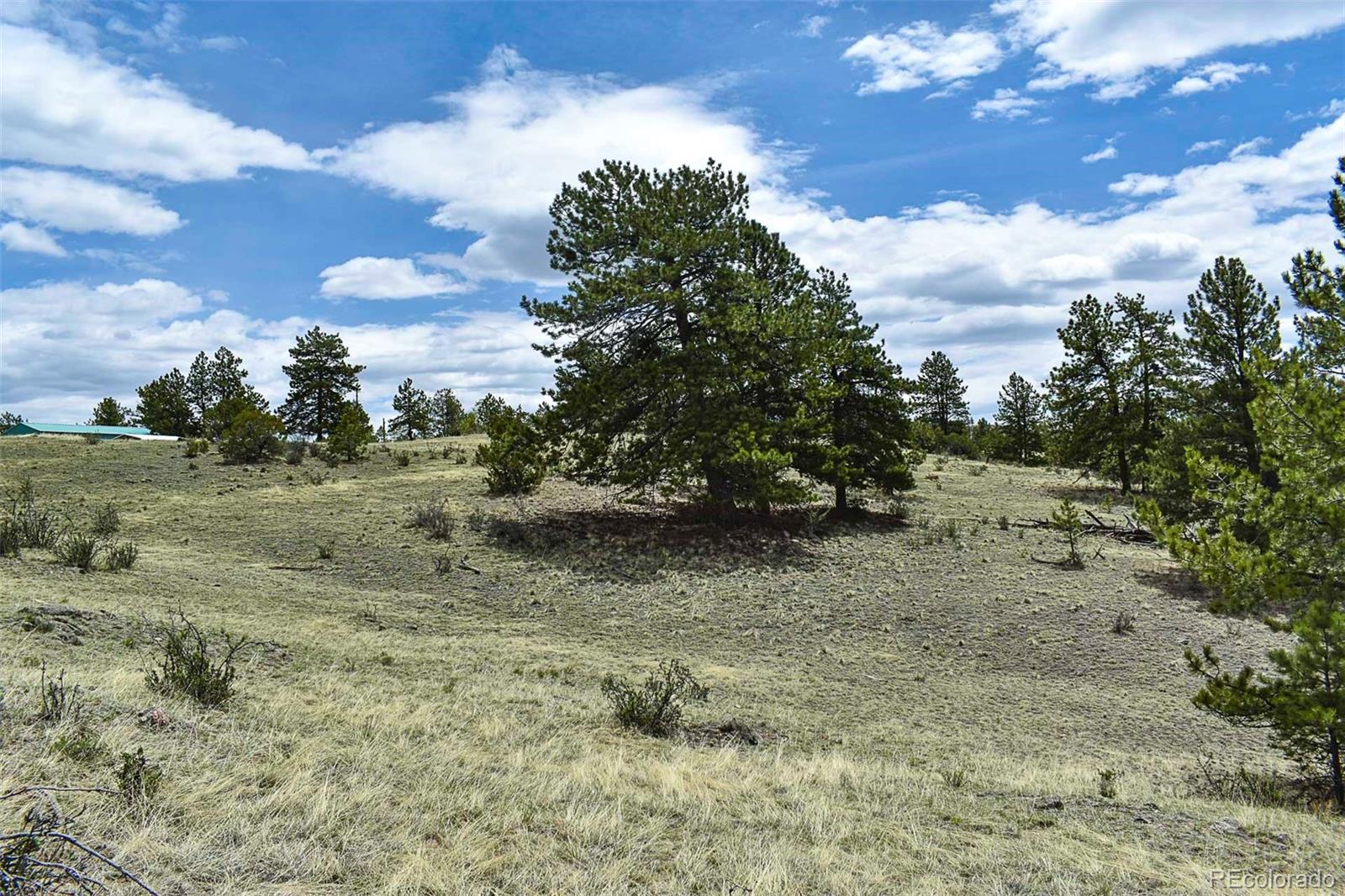 422 Buck Drive Guffey CO 80820