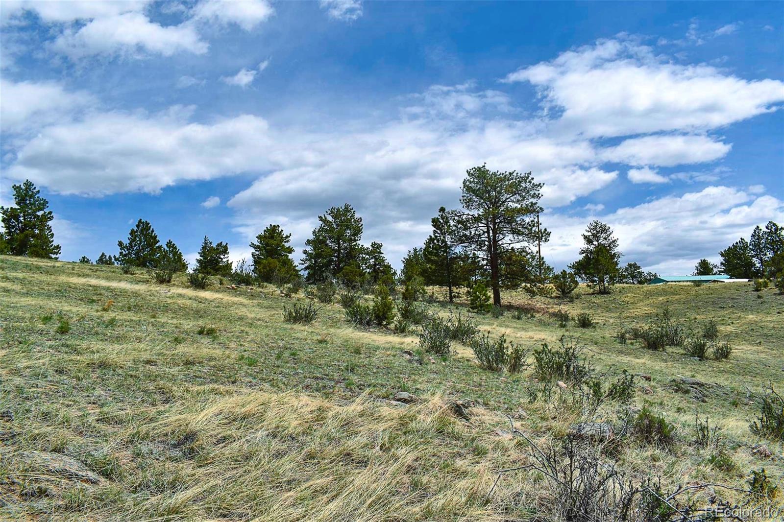 422 Buck Drive Guffey CO 80820