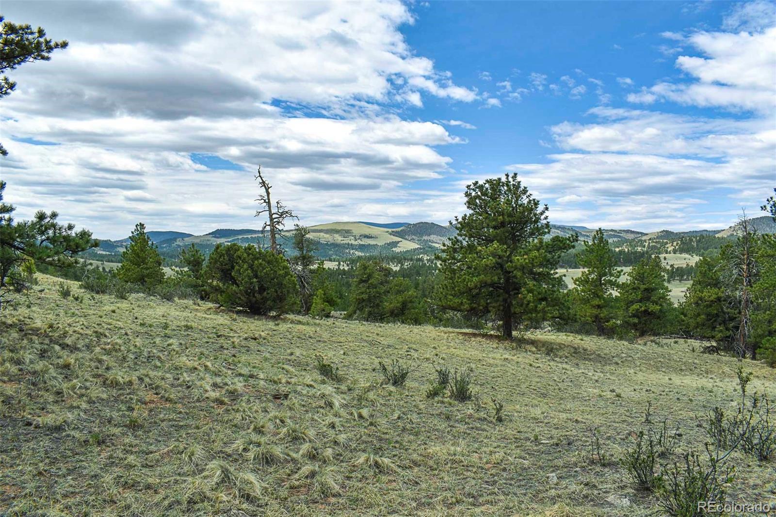 422 Buck Drive Guffey CO 80820