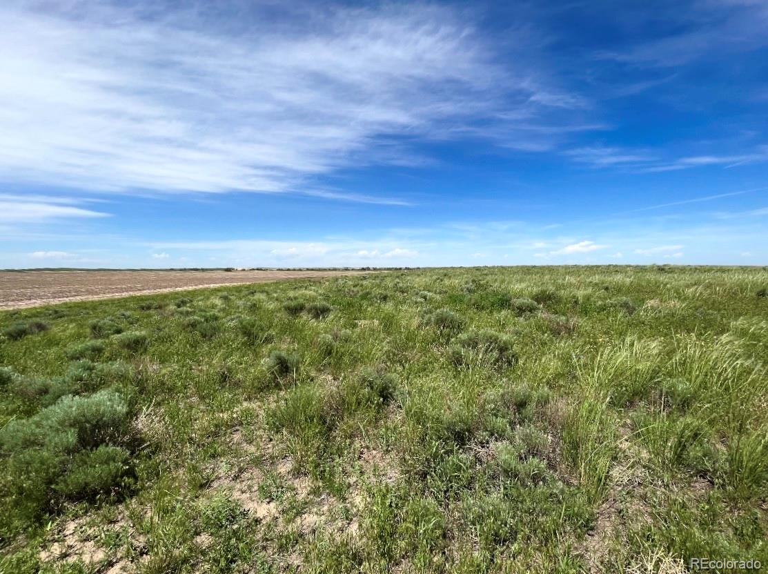 Parcel 3 Mimosa Road Byers CO 80103