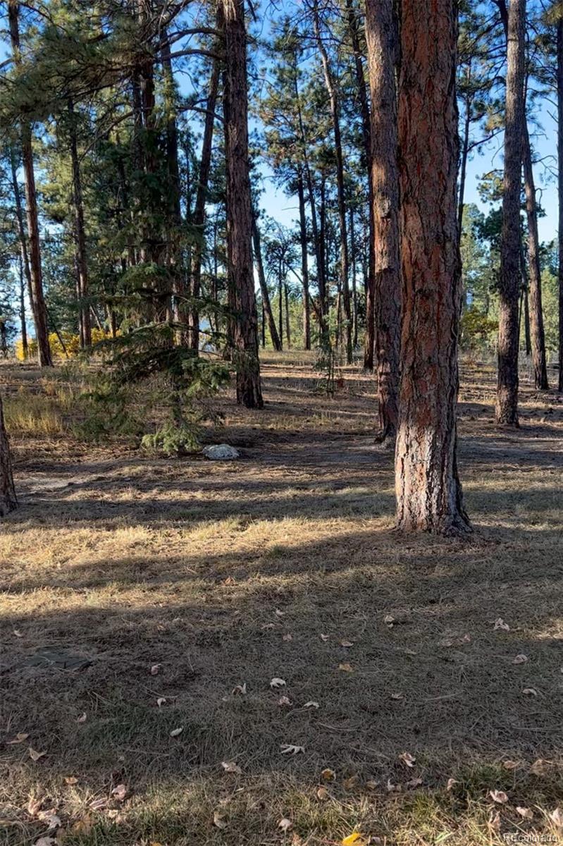 Rancho Escondido Lot 23c Weston CO 81091